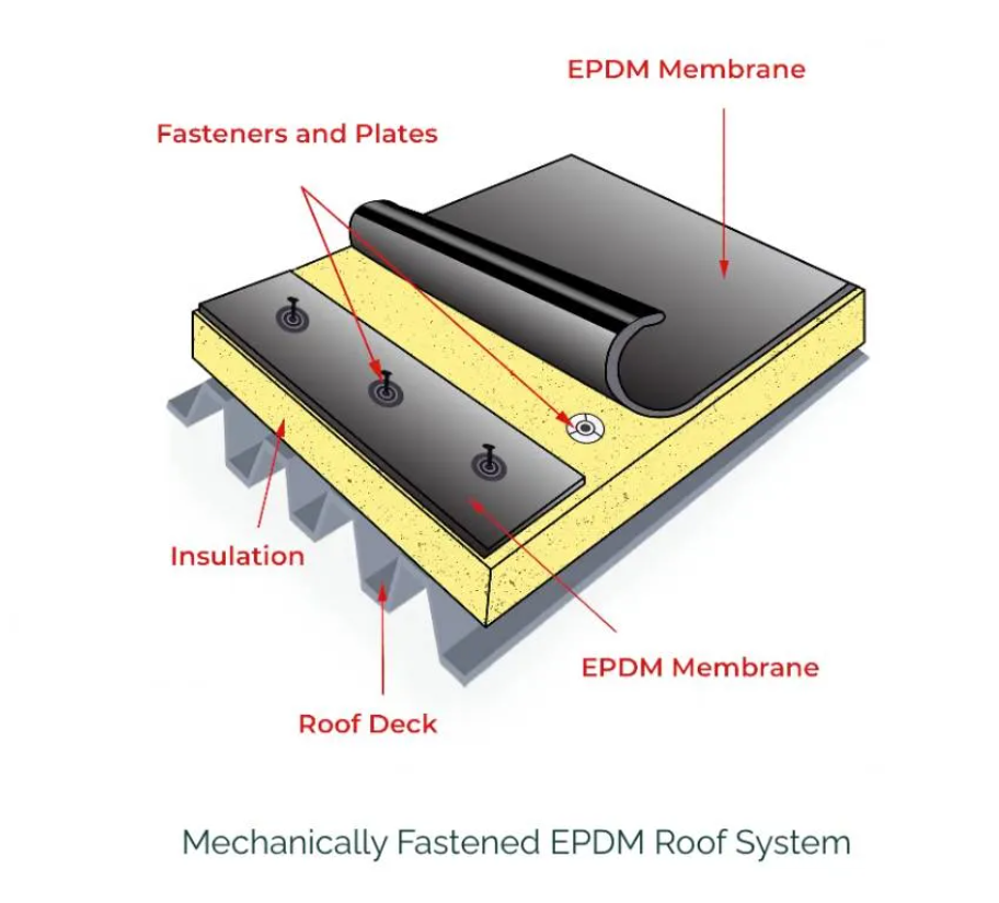 Membrane Replacement (Flat Roofs)